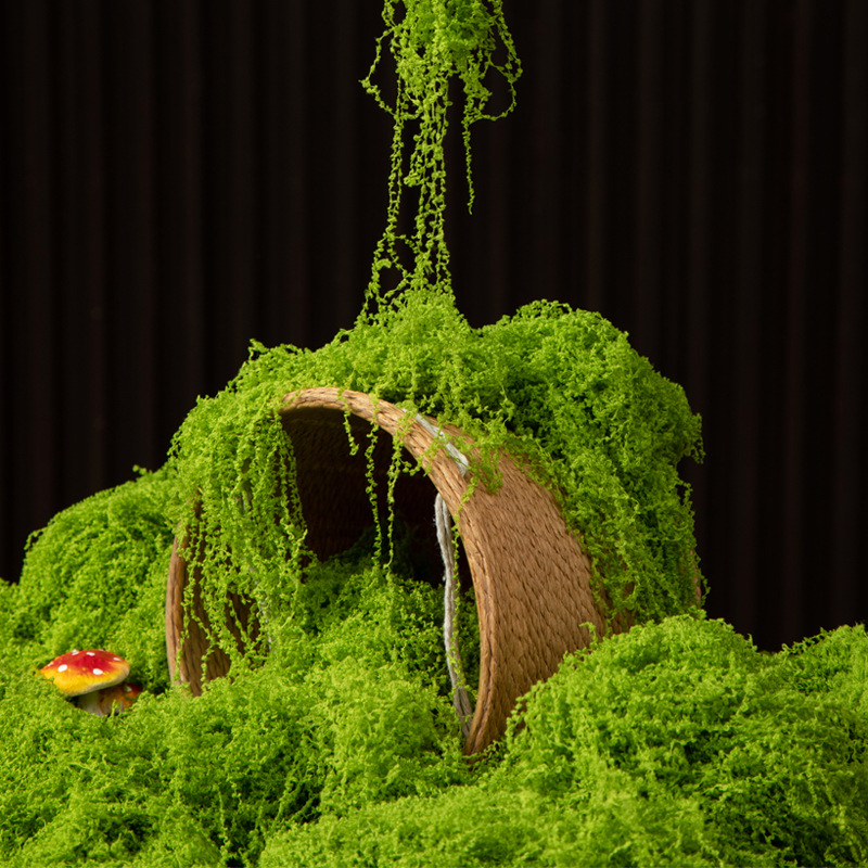 Preserved Moss Sheet - 200g Eternal Life Moss DIY Crafts