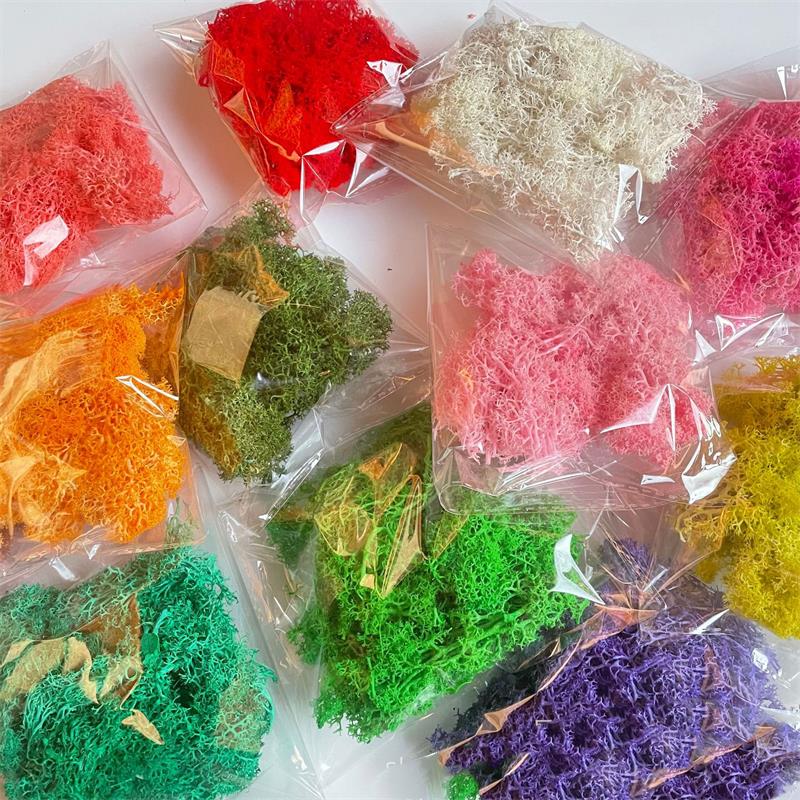 Preserved Moss Sheet - 20-200g Artificial Green Plants Polyester Moss