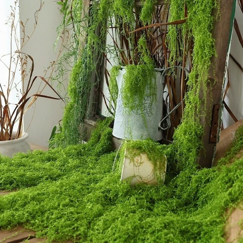 Preserved Moss Sheet - DIY Artificial Grass Rug Durable No
