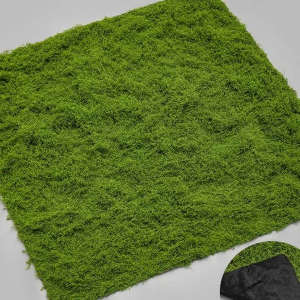DIY Artificial Grass Rug Durab - Preserved Moss Sheet recension och pris