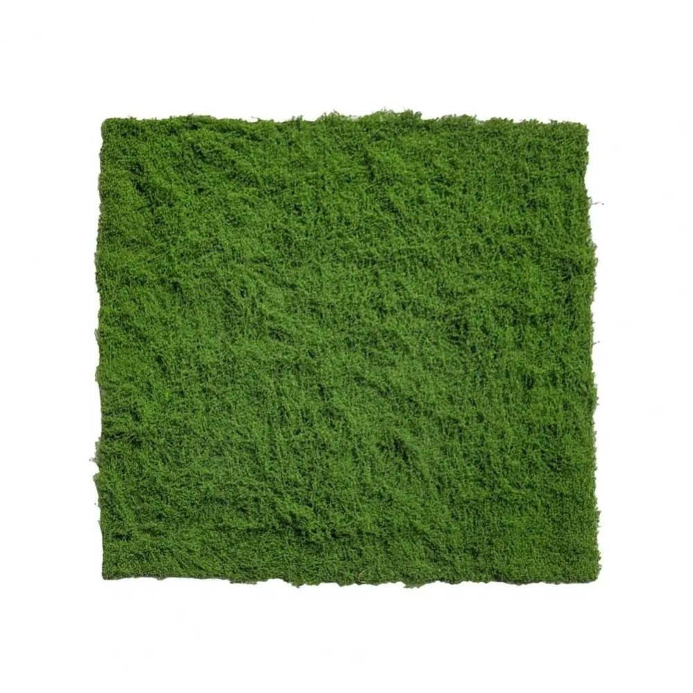 DIY Artificial Grass Rug Durab - Preserved Moss Sheet recension och pris