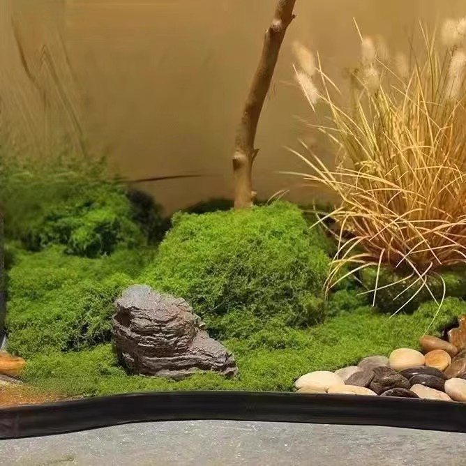 200g Eternal Life Moss DIY Cra - Preserved Moss Sheet recension och pris