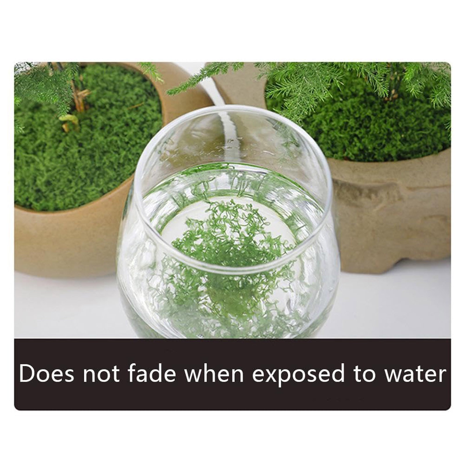 50/200g Artificial Moss For De - Preserved Moss Sheet recension och pris