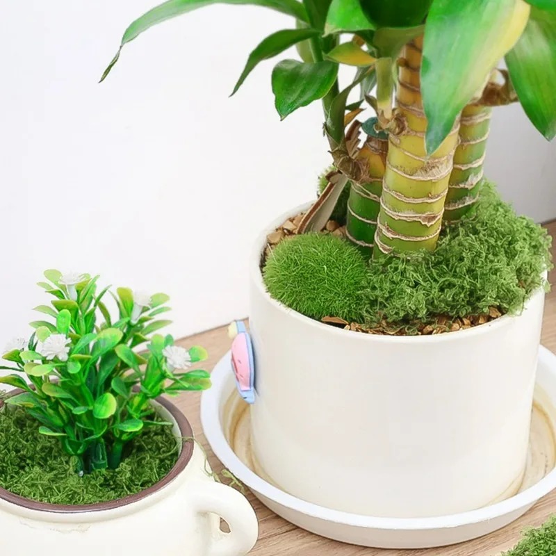 30/300G Artificial Realistic M - Preserved Moss Sheet recension och pris