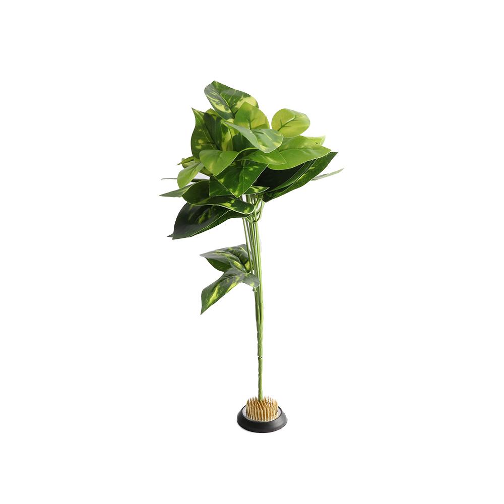 Rubber Kenzan Spiky Needle Flo - Flower Frog Pin recension och pris