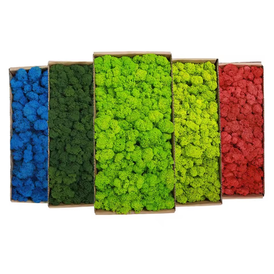 20-200g Artificial Green Plant - Preserved Moss Sheet recension och pris