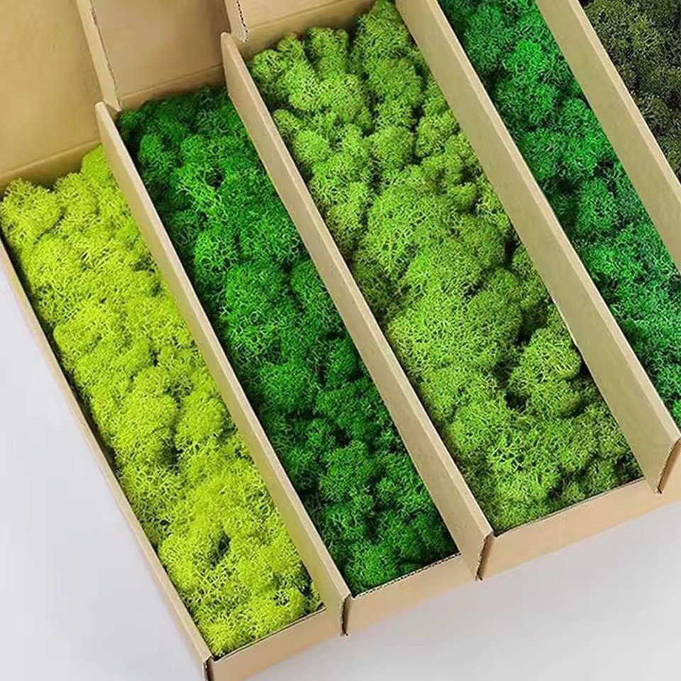 20-200g Artificial Green Plant - Preserved Moss Sheet recension och pris