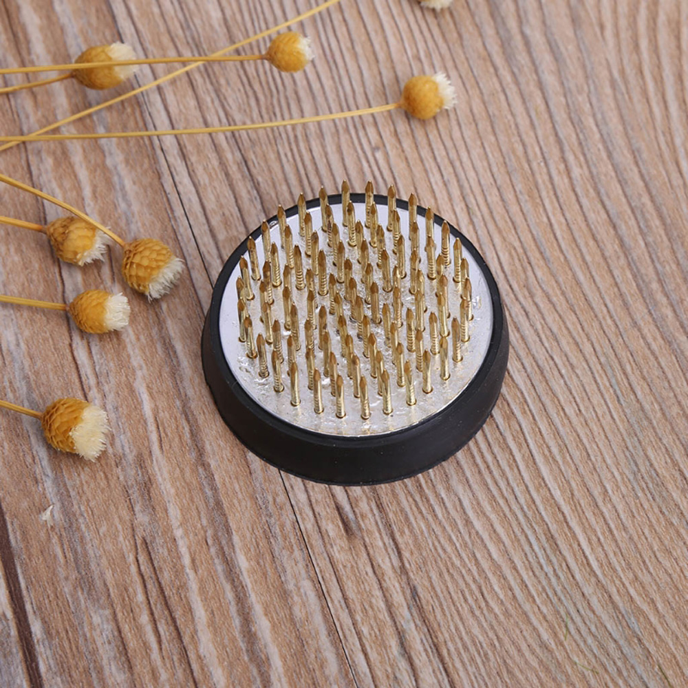 Rubber Kenzan Spiky Needle Art - Flower Frog Pin recension och pris