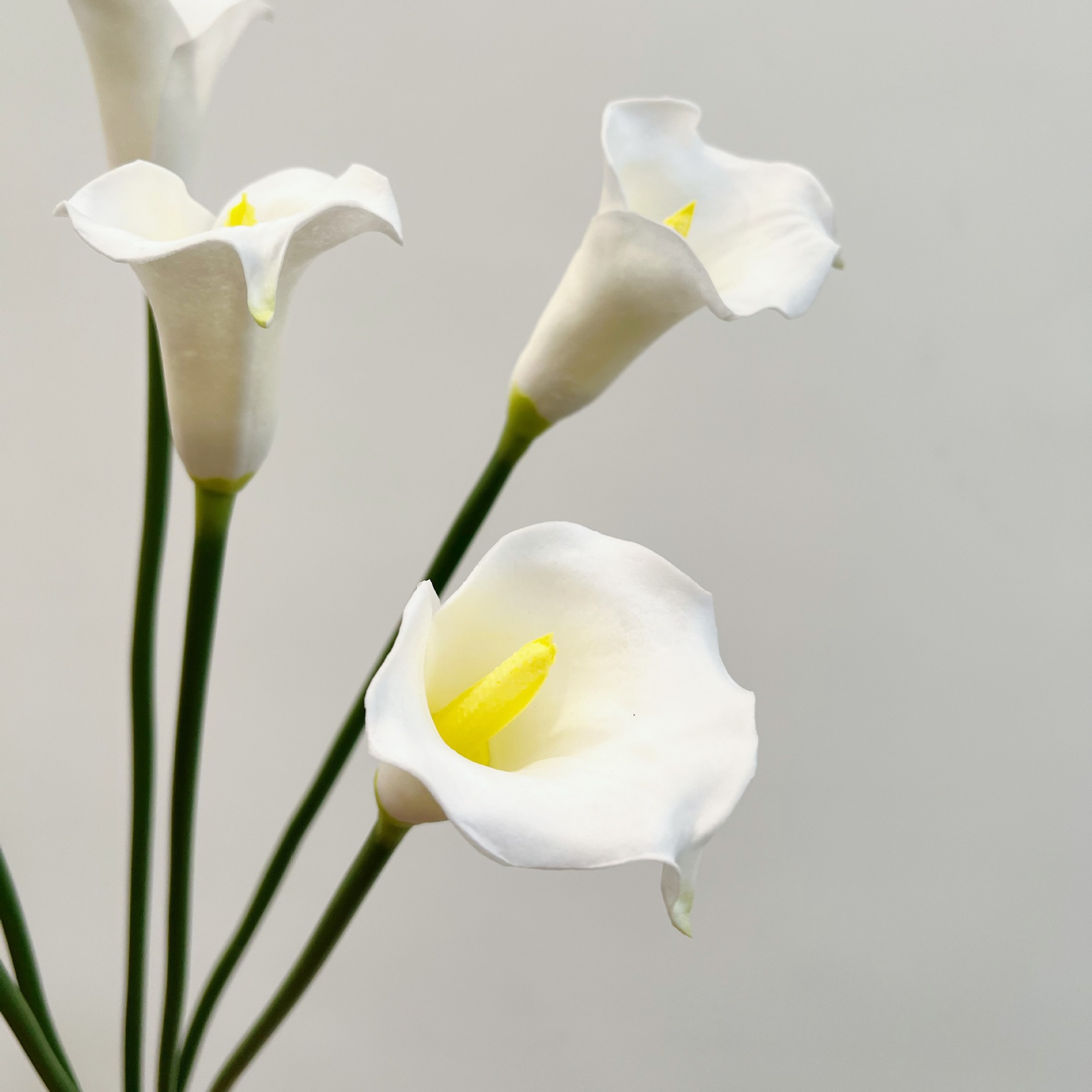 26 Inch Single Stem Crescent C - Supply For Florist recension och pris