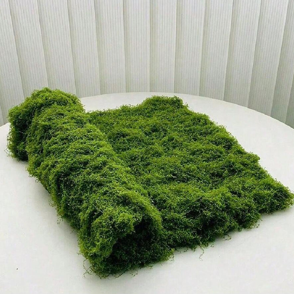 1*1m Fake Moss DIY Crafts Gras - Preserved Moss Sheet recension och pris